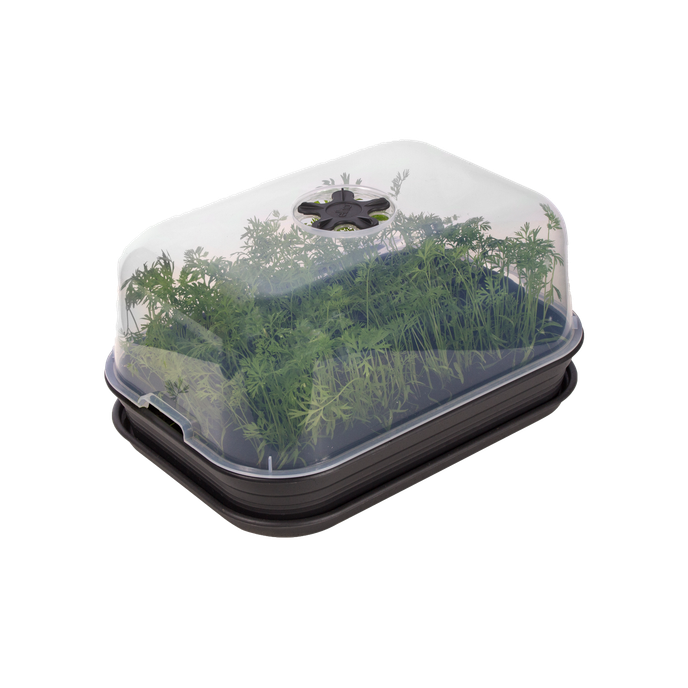 green basics kweekset m living black